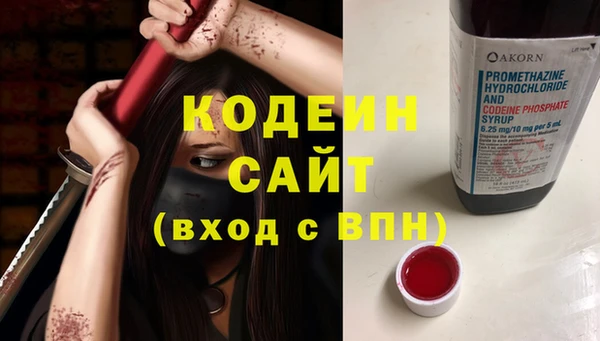 крисы Пестово