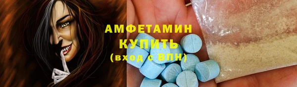 тгк Пересвет