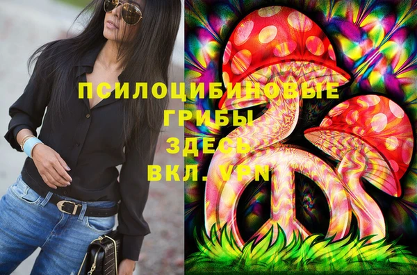 ПСИЛОЦИБИНОВЫЕ ГРИБЫ Гвардейск