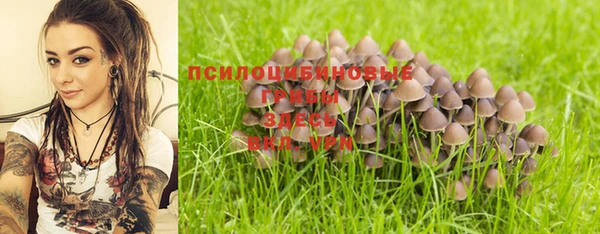 крисы Пестово