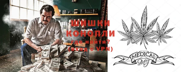 крисы Пестово