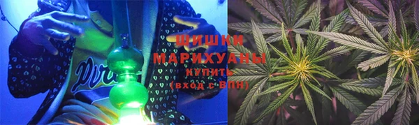 тгк Пересвет