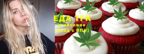 тгк Пересвет