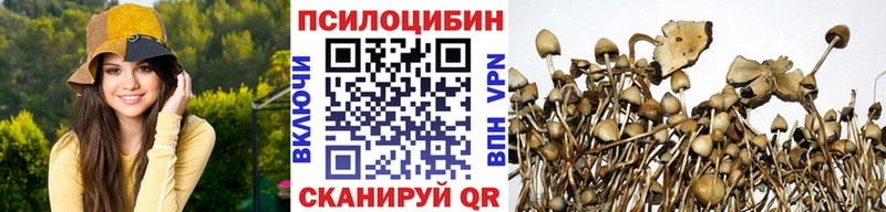 Галлюциногенные грибы прущие грибы  Игра 